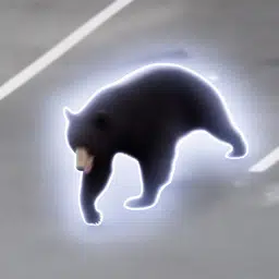 BearRun