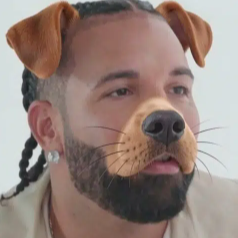 DRAKE logo