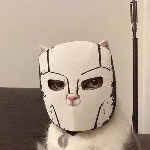 $MASKCAT token logo