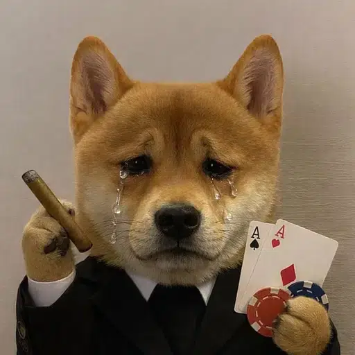 $Casinu token logo
