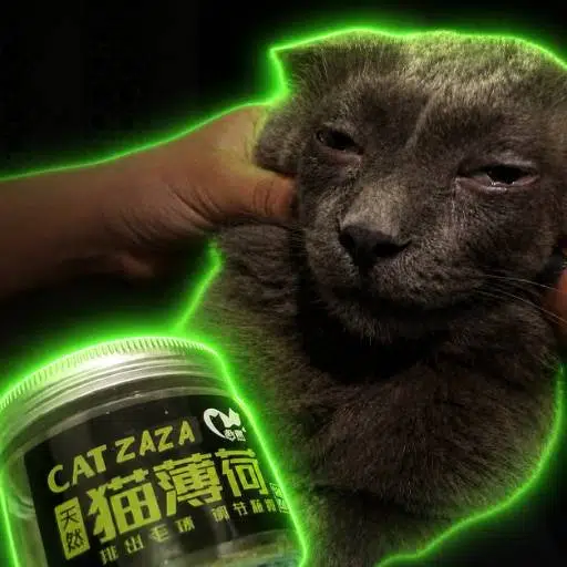 Zaza