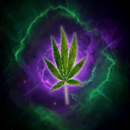 $WEED token logo