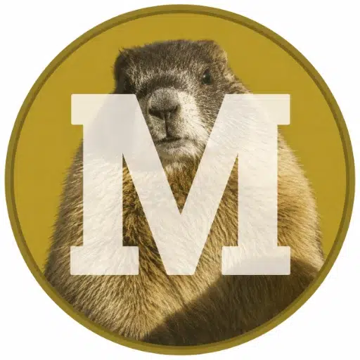 Marmot