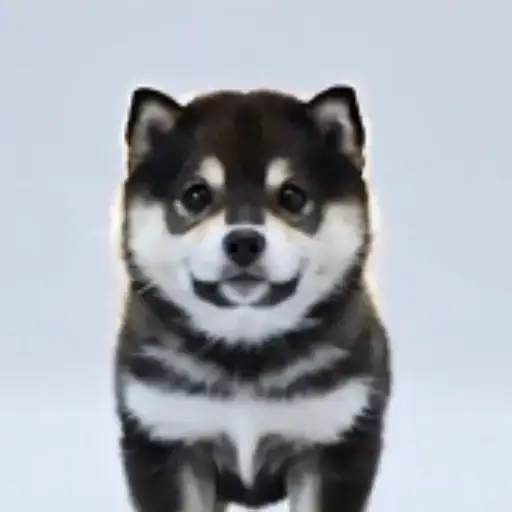 $BlackShiba token logo