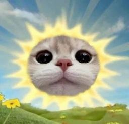 Sol