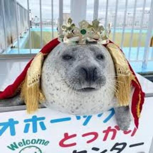 Agu