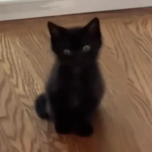 Eugene