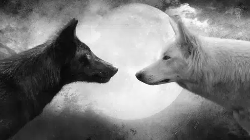 WOLVES
