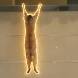 HODL