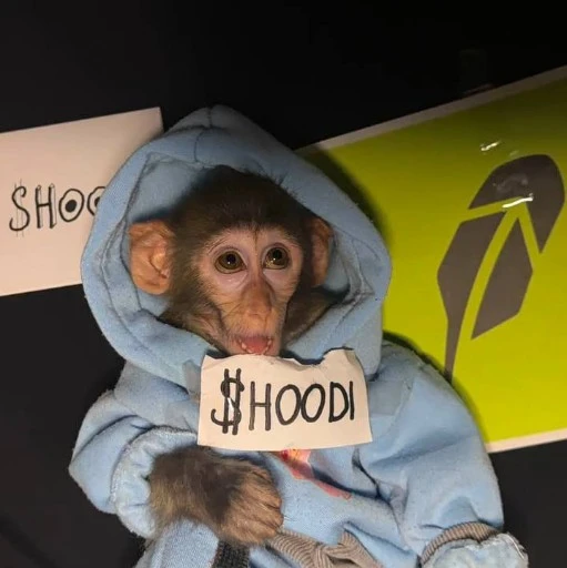 Hoodi