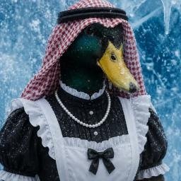 HIM