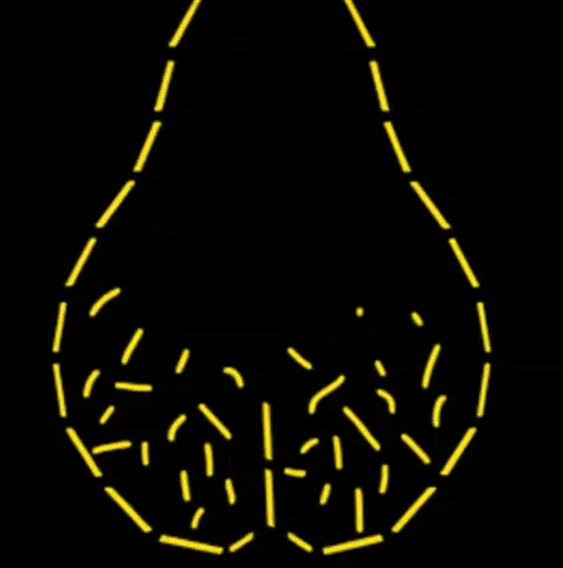 Nutsack