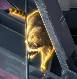 Jonafran
