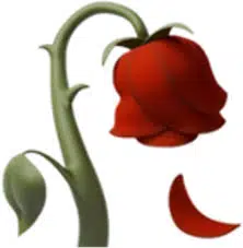 🥀