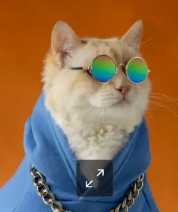 Richy