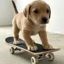 Onboard