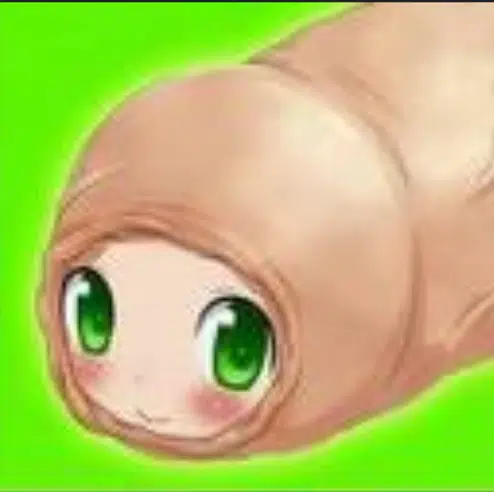 FORESKIN