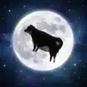 MOONER