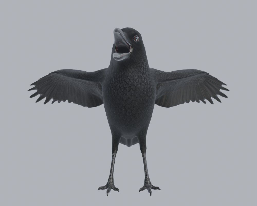 CROW