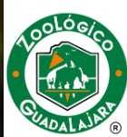 Guadalajara