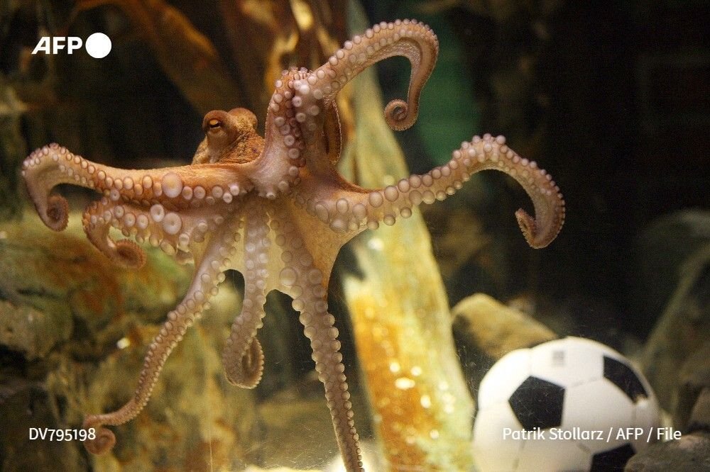PAUL