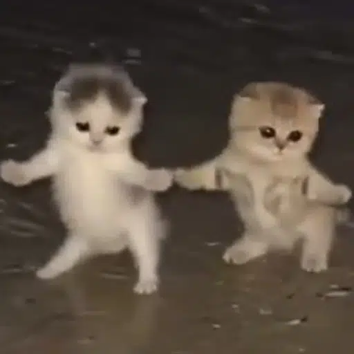 DCA