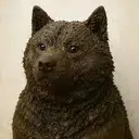 DOGSHIT