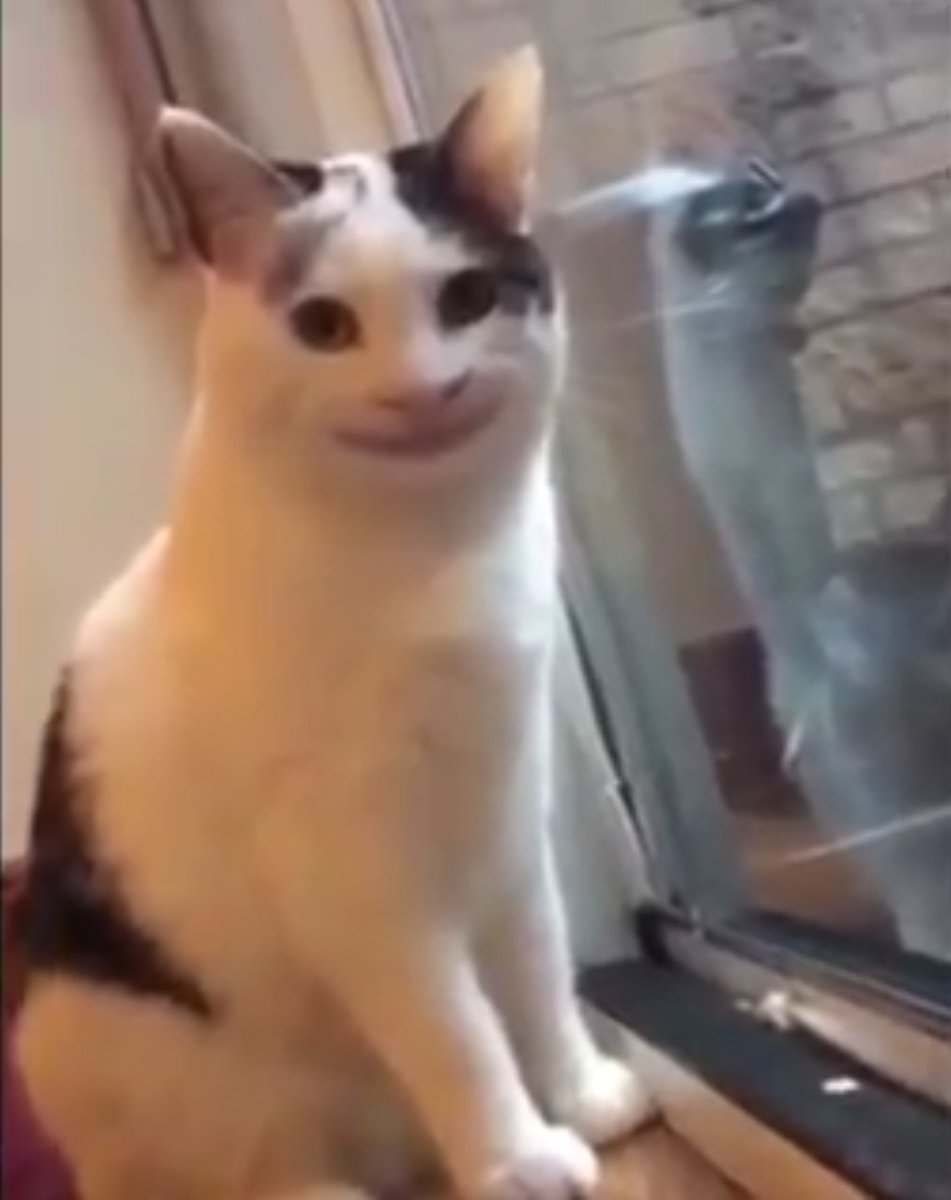 Smirkcat