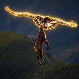 Eagle