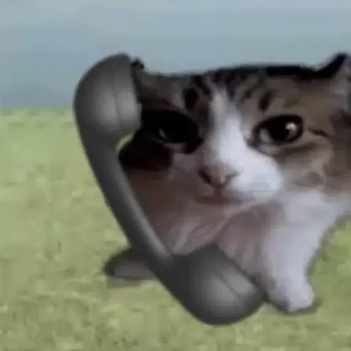 callcat