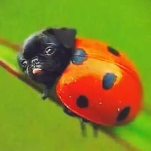 LADYPUG logo