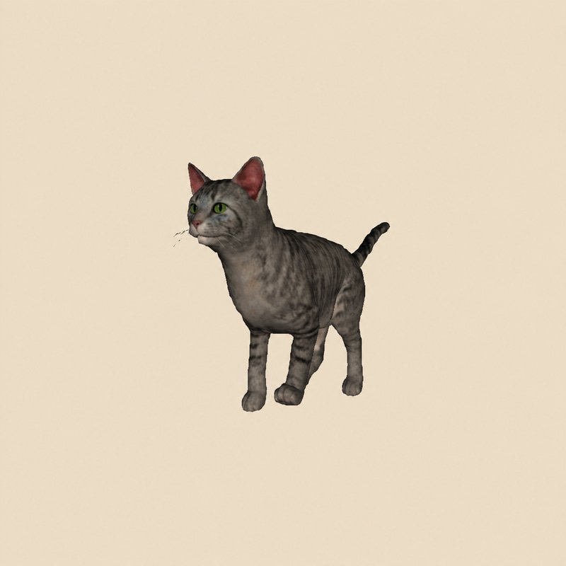 cat-01