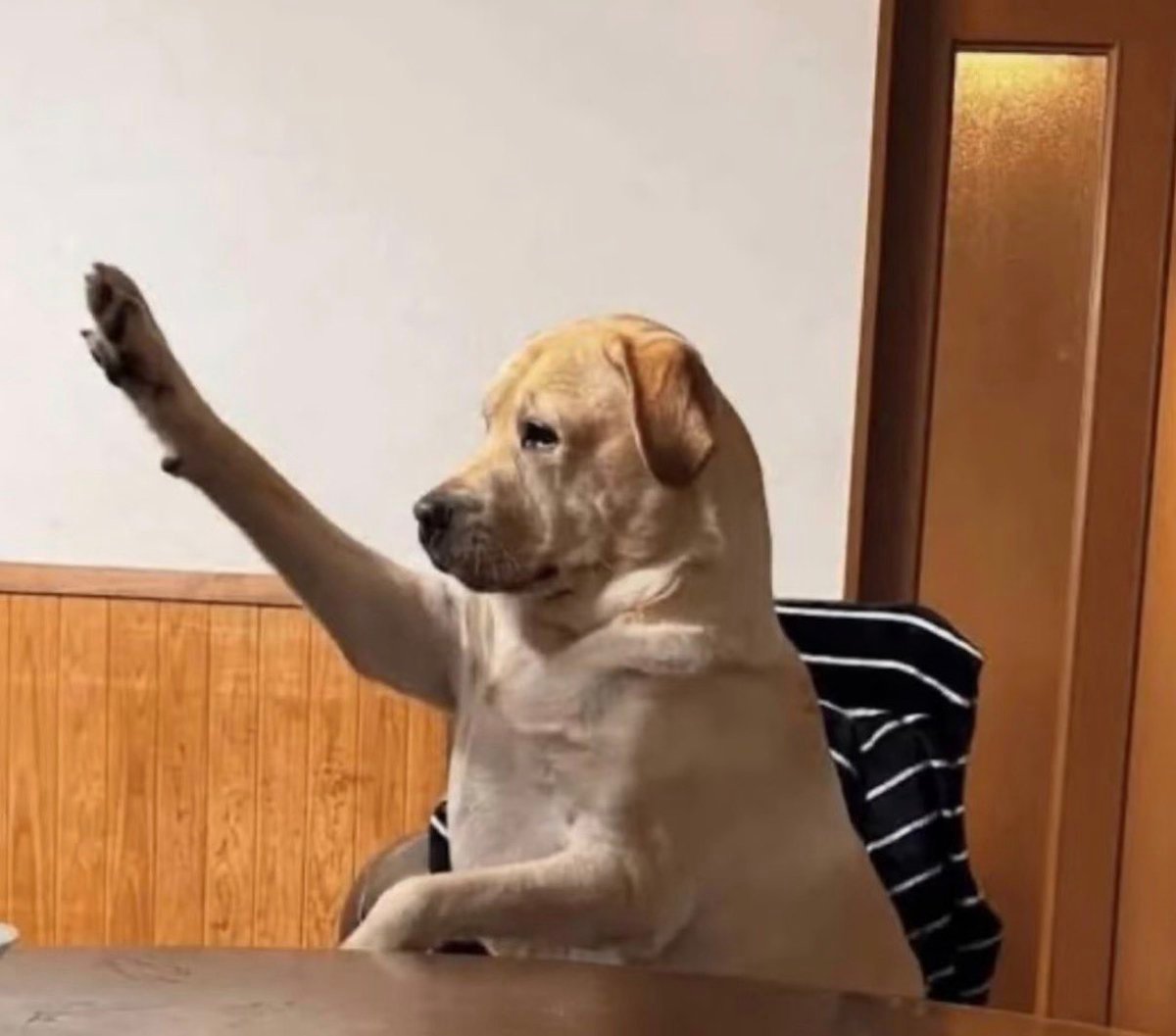 dogler