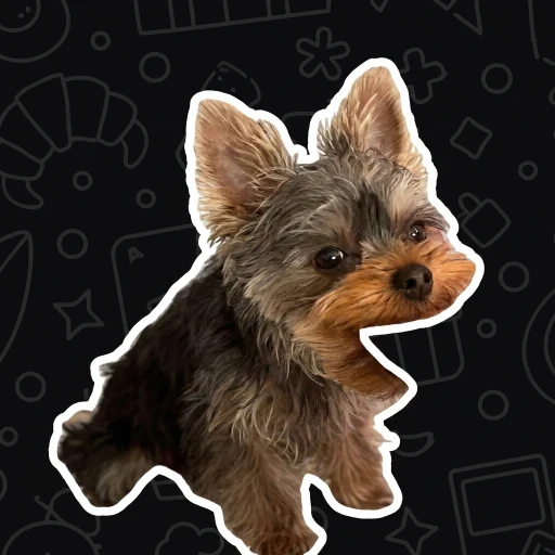 PacDog