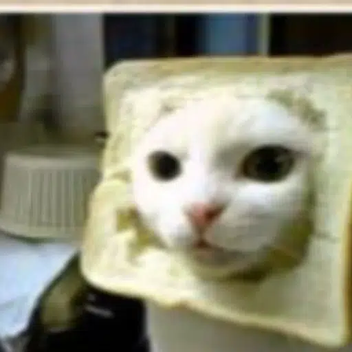 Breadcat