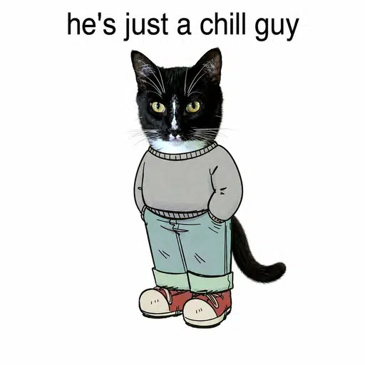 CHILLCAT