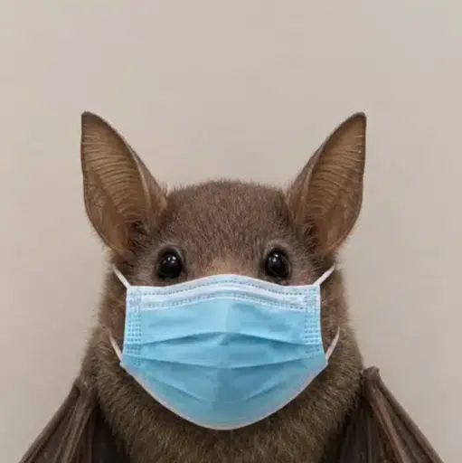 batwifmask