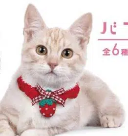 スタイ