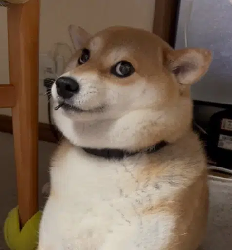 ユキ