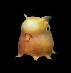 GRIMPOTEUTHIS logo