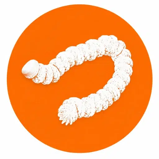 Shitcoin