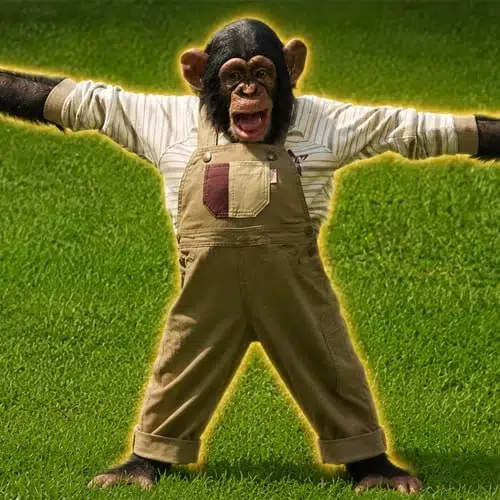Pan