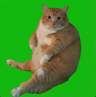 CHONK