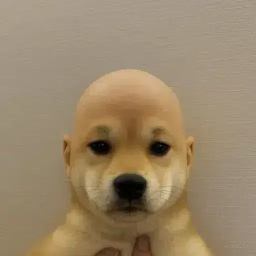 WIFOUT