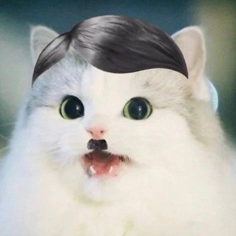 kittler