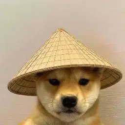 斗笠狗