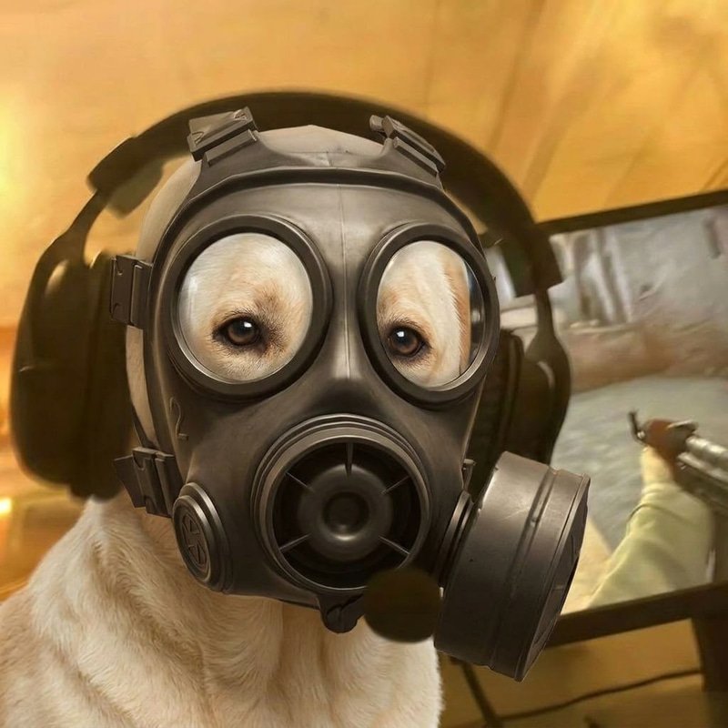 GASMASK logo