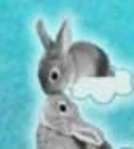 RABBIT
