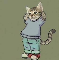 CHILLCAT