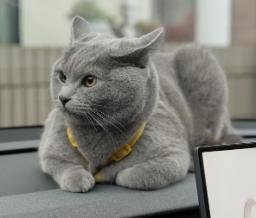 くつろ